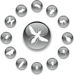 Set buttons. Insects