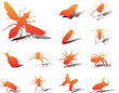 Set icons. Insects