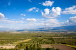 Magnificent panorama of olive groves by Baeza town, Spain