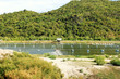 Elevage de crevettes au parc National de Khao Sam Roi Yot