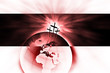 The creation is saved by the Lord Jesus Christ