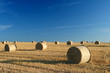 Bale of straw Bale of straw