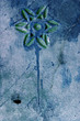 fleur de pierre