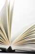 book pages on white background close-up book pages on white background close-up