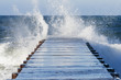 Surf's Up In LA