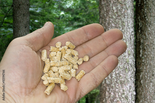 Pellets Ökoenergie