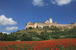 Assisi-low angle view Assisi-low angle view