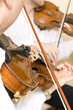 Professional violinists performing as part of a string quartet. Professional violinists performing as part of a string quartet.