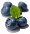 Foto: Group of blueberries isolated on white Group of blueberries isolated on white
