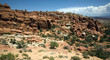 Fiery Furnace Fiery Furnace