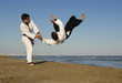 aikido, apkido