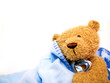 Bear And Blanket