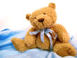 Teddy Bear On White And Blue