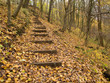 Sentier et escaliers dans la forêt automnale Sentier et escaliers dans la forêt automnale