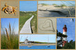 Amrumer Impressionen
