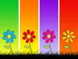 Fiori