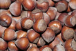 Photo: Brown Hazelnuts Brown Hazelnuts