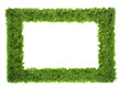 frame with grass