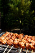 Barbecue grill