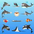 cartoon fish character set