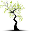 vecteur série - Arbre vectoriel noir et vert sur fond blanc