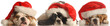 two bulldogs and a cocker spaniel wearing red santa hat