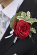 Foto: Rose am Revers Rose am Revers