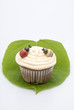 cupcake decorated with a bee and a ladybug.