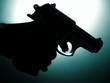 Gun silhouette