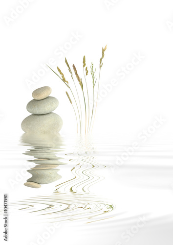 Photo: Zen Spa Stones and Natural Grass Zen Spa Stones and Natural Grass