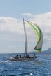sous spli vert et blanc
