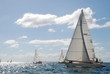 bâteaux boat 2