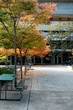 fall campus fall campus