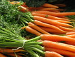 Carottes nouvelles. Carottes nouvelles.