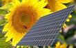 énergie propre