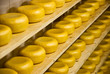 Traditional Dutch cheese called Gouda