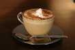 cappuccino cup with cinnamon