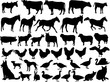 farm animal silhouette colection - vector farm animal silhouette colection - vector