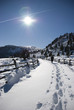 Winterwandern - escursione invernale