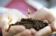 Man holding seedling, close-up