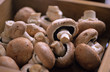 Champignons, mushrooms in box, close up