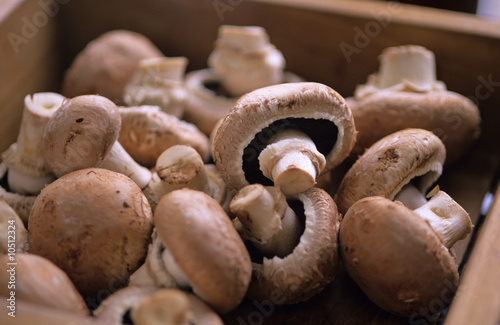 Photo: Champignons, mushrooms in box, close up Champignons, mushrooms in box, close up