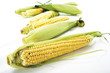 Fresh corncobs