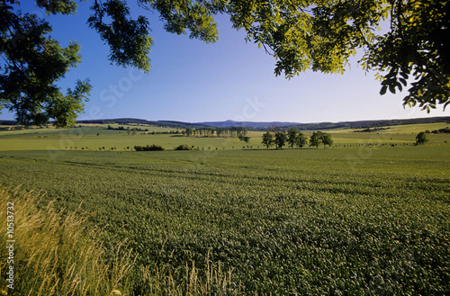 Photo: Fields in Marksuhl, Thuringia, Germany Fields in Marksuhl, Thuringia, Germany