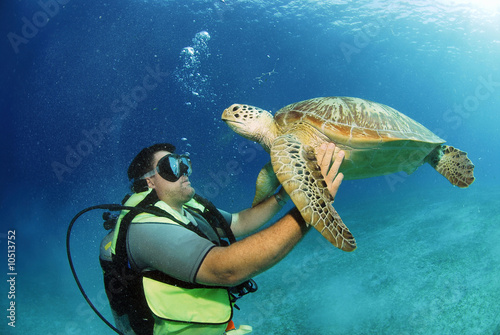 Foto: Philippines, scuba diver holding green turtle in sea, underwater view Philippines, scuba diver holding green turtle in sea, underwater view