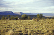 Mountain Zebra National Park, Cradock, Great Karoo, Eastern Cape, South Africa