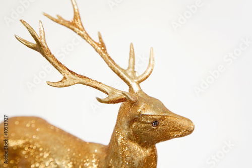 Photo: Ornamental stag, close-up Ornamental stag, close-up