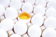 Eggs and yolk