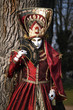 Venitian Mask Venitian Mask