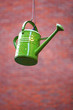 Watering Can Watering Can